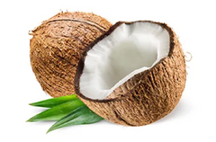 Why is Coconut Oil so good for Skin?