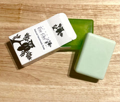 Protect Your Skin from Toxins with Vegan Tree Owl Skincare Products