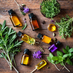 Did you know Vegan Tree Owl skincare is made with eco-friendly ingredients?