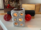 Christmas Botanical Oil Burner Blend